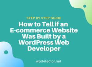How to Tell if an E-commerce Website Was Built by a WordPress Web Developer